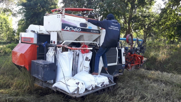 ขายรถเกี่ยวข้าว kubota ปี 53 ปากเลสคอเลส