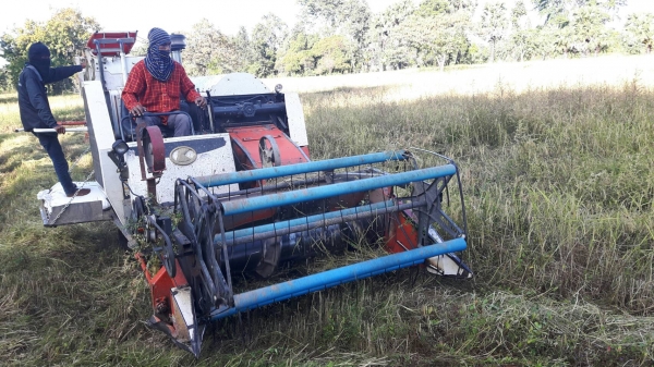 ขายรถเกี่ยวข้าว kubota ปี 53 ปากเลสคอเลส