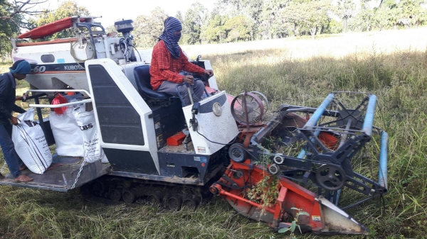 ขายรถเกี่ยวข้าว kubota ปี 53 ปากเลสคอเลส