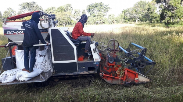 ขายรถเกี่ยวข้าว kubota ปี 53 ปากเลสคอเลส