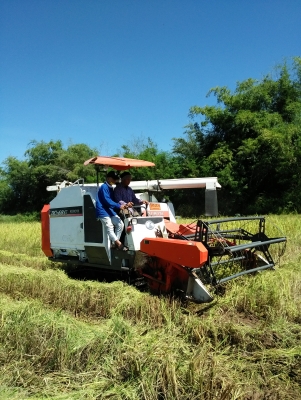 ขายรถเกี่ยวข้าวอุ้มคูโบต้า 68g