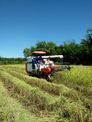 ขายรถเกี่ยวข้าวอุ้มคูโบต้า 68g