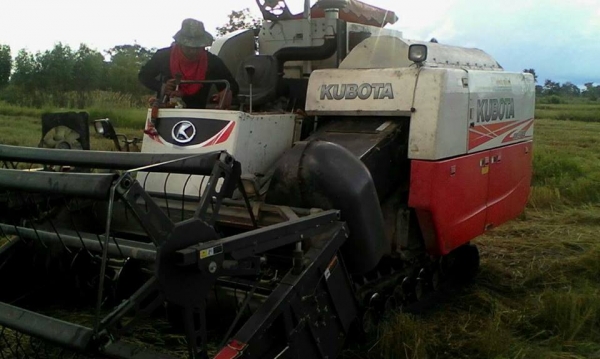 ขายรถเกี่ยวข้าว KUBOTA DC70 ใช้งาน1117ชั่วโมง รถสวยสภาพดีพร้อมใช้งาน ราคา580,000 สนใจโทร 090-8588220คุณนะ 093-3258446คุณบิว หรือเข้าดูสินค้าอื่นๆได้ที่ www.narong2truck.com หรือ www.truck.in.th/498 หรือเพจFacebook ณรงค์ ซื้อขายรถมือสอง (เว็บไซต์ส่วนตัว) ห