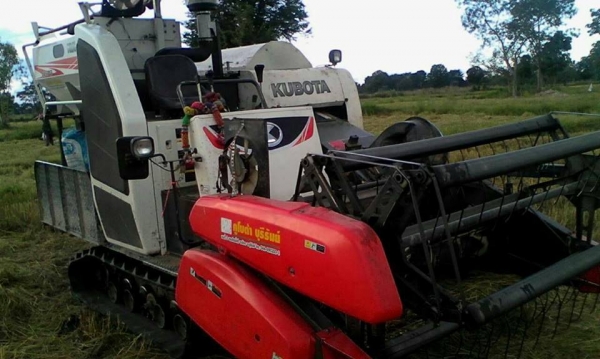 ขายรถเกี่ยวข้าว KUBOTA DC70 ใช้งาน1117ชั่วโมง รถสวยสภาพดีพร้อมใช้งาน ราคา580,000 สนใจโทร 090-8588220คุณนะ 093-3258446คุณบิว หรือเข้าดูสินค้าอื่นๆได้ที่ www.narong2truck.com หรือ www.truck.in.th/498 หรือเพจFacebook ณรงค์ ซื้อขายรถมือสอง (เว็บไซต์ส่วนตัว) ห