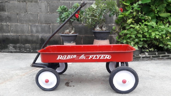 รถลาก RADIO FLYER
