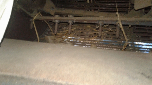 ขายตามสภาพตู้นวดข้าวเกษตรพัตนาสิงห์เปลือยจัมโบ5ฟุตครึง