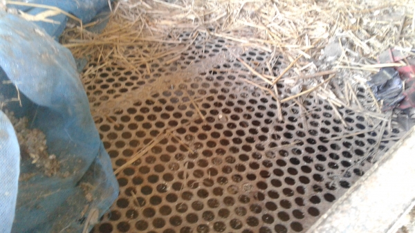 ขายตามสภาพตู้นวดข้าวเกษตรพัตนาสิงห์เปลือยจัมโบ5ฟุตครึง