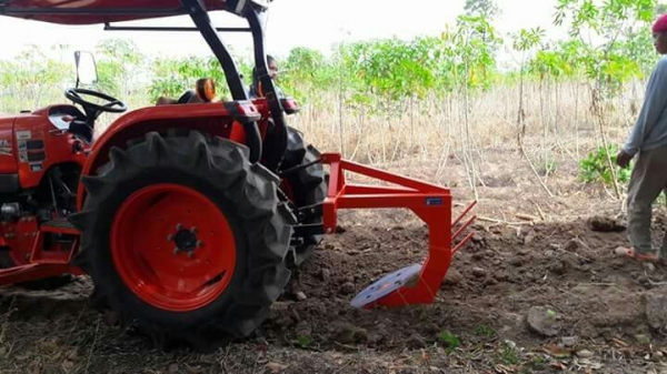 ขายผานขุดมัน