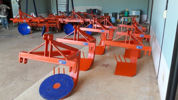 ขายผานขุดมัน