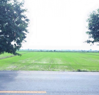 ขายที่ดิน 8 ไร่ 3 งาน 64 ตรว. โฉนด พร้อมโอน
