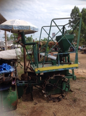 ตัวปลูกอ้อย