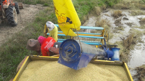 ขายรถเกียว ข้าว อุ้ม เครื่อง HO 7 D 195 เทอร์โบ อุ้ม 1600 ตัวเดิน 10 ปั้มเบอร์ 22 ต้องการขาย 385000 บาท วันทูคอล 0986683479 dtac 0991751349 สิทธิ์ คับ ขายรถเกียว ข้าว อุ้ม เครื่อง HO 7 D 195 เทอร์โบ อุ้ม 1600 ตัวเดิน 10 ปั้มเบอร์ 22 ต้องการขาย 385000 บาท วันทูคอล 0986683479 dtac 0991751349 สิทธิ์ คับ