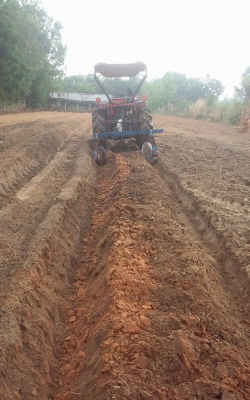 ขาย ผานยกร่องติดรถไถตั่งแต่ 30 แรงขึ้น ขาย ผานยกร่องติดรถไถตั่งแต่ 30 แรงขึ้น