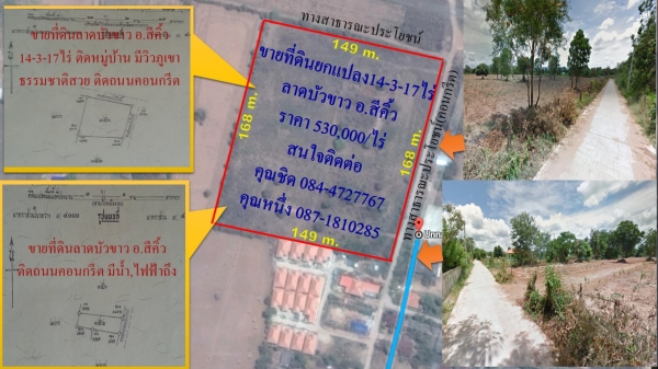 ขายที่ดินยกแปลง14-3-17ไร่ ติดถนนคอนกรีต มีวิวภูเขาสวย (ลาดบัวขาว อ.สีคิ้ว)
