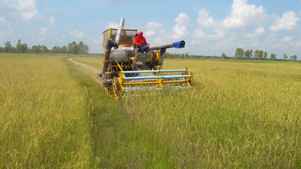 ขายรถเกียว ข้าว อุ้ม เครื่อง HO 7 D 195 เทอร์โบ อุ้ม 1600 ตัวเดิน 10 ปั้มเบอร์ 22 ต้องการขาย   370000   บาท    ( งดต่อลอง  )  วันทูคอล 0986683479 dtac 0991751349 สิทธิ์ คับ