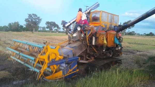 ขายรถเกียว ข้าว อุ้ม เครื่อง HO 7 D 195 เทอร์โบ อุ้ม 1600 ตัวเดิน 10 ปั้มเบอร์ 22 ต้องการขาย   370000   บาท    ( งดต่อลอง  )  วันทูคอล 0986683479 dtac 0991751349 สิทธิ์ คับ