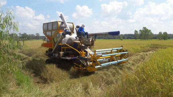 ขายรถเกียว ข้าว อุ้ม เครื่อง HO 7 D 195 เทอร์โบ อุ้ม 1600 ตัวเดิน 10 ปั้มเบอร์ 22 ต้องการขาย   370000   บาท    ( งดต่อลอง  )  วันทูคอล 0986683479 dtac 0991751349 สิทธิ์ คับ