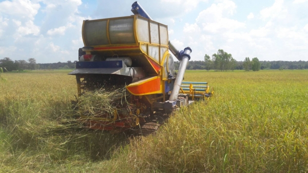 ขายรถเกียว ข้าว อุ้ม เครื่อง HO 7 D 195 เทอร์โบ อุ้ม 1600 ตัวเดิน 10 ปั้มเบอร์ 22 ต้องการขาย   370000   บาท    ( งดต่อลอง  )  วันทูคอล 0986683479 dtac 0991751349 สิทธิ์ คับ