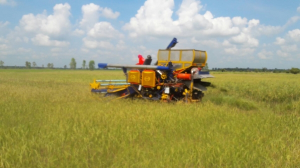 ขายรถเกียว ข้าว อุ้ม เครื่อง HO 7 D 195 เทอร์โบ อุ้ม 1600 ตัวเดิน 10 ปั้มเบอร์ 22 ต้องการขาย   370000   บาท    ( งดต่อลอง  )  วันทูคอล 0986683479 dtac 0991751349 สิทธิ์ คับ