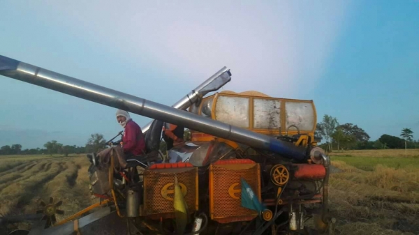 ขายรถเกียว ข้าว อุ้ม เครื่อง HO 7 D 195 เทอร์โบ อุ้ม 1600 ตัวเดิน 10 ปั้มเบอร์ 22 ต้องการขาย   370000   บาท    ( งดต่อลอง  )  วันทูคอล 0986683479 dtac 0991751349 สิทธิ์ คับ