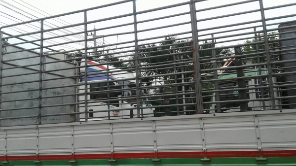 ขายกระบะรถหกล้อ ยาว7.20เมตร