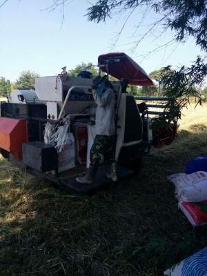 ขายรถเกี่ยวข้าว KUBOTA DC60 ปี53 สภาพพร้อมใช้งาน เอกสารพร้อมโอน ราคา230,000 สนใจโทร 090-8588220คุณนะ 093-3258446คุณบิว หรือเข้าดูสินค้าอื่นๆได้ที่ www.narong2truck.com หรือ www.truck.in.th/498 หรือเพจFacebook ณรงค์ ซื้อขายรถมือสอง (เว็บไซต์ส่วนตัว) หรือFa ขายรถเกี่ยวข้าว KUBOTA DC60 ปี53 สภาพพร้อมใช้งาน เอกสารพร้อมโอน ราคา230,000 สนใจโทร 090-8588220คุณนะ 093-3258446คุณบิว หรือเข้าดูสินค้าอื่นๆได้ที่ www.narong2truck.com หรือ www.truck.in.th/498 หรือเพจFacebook ณรงค์ ซื้อขายรถมือสอง (เว็บไซต์ส่วนตัว) หรือFa