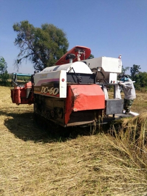 ขายรถเกี่ยวข้าว KUBOTA DC60 ปี53 สภาพพร้อมใช้งาน เอกสารพร้อมโอน ราคา230,000 สนใจโทร 090-8588220คุณนะ 093-3258446คุณบิว หรือเข้าดูสินค้าอื่นๆได้ที่ www.narong2truck.com หรือ www.truck.in.th/498 หรือเพจFacebook ณรงค์ ซื้อขายรถมือสอง (เว็บไซต์ส่วนตัว) หรือFa