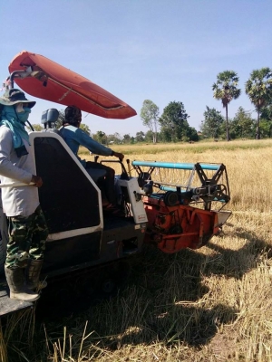 ขายรถเกี่ยวข้าว KUBOTA DC60 ปี53 สภาพพร้อมใช้งาน เอกสารพร้อมโอน ราคา230,000 สนใจโทร 090-8588220คุณนะ 093-3258446คุณบิว หรือเข้าดูสินค้าอื่นๆได้ที่ www.narong2truck.com หรือ www.truck.in.th/498 หรือเพจFacebook ณรงค์ ซื้อขายรถมือสอง (เว็บไซต์ส่วนตัว) หรือFa ขายรถเกี่ยวข้าว KUBOTA DC60 ปี53 สภาพพร้อมใช้งาน เอกสารพร้อมโอน ราคา230,000 สนใจโทร 090-8588220คุณนะ 093-3258446คุณบิว หรือเข้าดูสินค้าอื่นๆได้ที่ www.narong2truck.com หรือ www.truck.in.th/498 หรือเพจFacebook ณรงค์ ซื้อขายรถมือสอง (เว็บไซต์ส่วนตัว) หรือFa