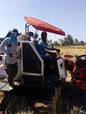 ขายรถเกี่ยวข้าว KUBOTA DC60 ปี53 สภาพพร้อมใช้งาน เอกสารพร้อมโอน ราคา230,000 สนใจโทร 090-8588220คุณนะ 093-3258446คุณบิว หรือเข้าดูสินค้าอื่นๆได้ที่ www.narong2truck.com หรือ www.truck.in.th/498 หรือเพจFacebook ณรงค์ ซื้อขายรถมือสอง (เว็บไซต์ส่วนตัว) หรือFa ขายรถเกี่ยวข้าว KUBOTA DC60 ปี53 สภาพพร้อมใช้งาน เอกสารพร้อมโอน ราคา230,000 สนใจโทร 090-8588220คุณนะ 093-3258446คุณบิว หรือเข้าดูสินค้าอื่นๆได้ที่ www.narong2truck.com หรือ www.truck.in.th/498 หรือเพจFacebook ณรงค์ ซื้อขายรถมือสอง (เว็บไซต์ส่วนตัว) หรือFa