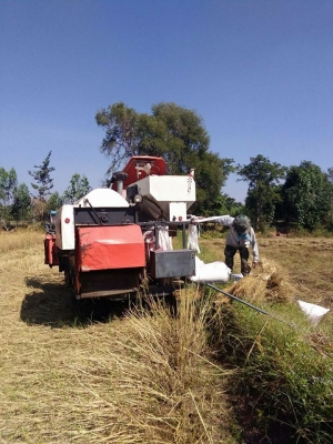 ขายรถเกี่ยวข้าว KUBOTA DC60 ปี53 สภาพพร้อมใช้งาน เอกสารพร้อมโอน ราคา230,000 สนใจโทร 090-8588220คุณนะ 093-3258446คุณบิว หรือเข้าดูสินค้าอื่นๆได้ที่ www.narong2truck.com หรือ www.truck.in.th/498 หรือเพจFacebook ณรงค์ ซื้อขายรถมือสอง (เว็บไซต์ส่วนตัว) หรือFa ขายรถเกี่ยวข้าว KUBOTA DC60 ปี53 สภาพพร้อมใช้งาน เอกสารพร้อมโอน ราคา230,000 สนใจโทร 090-8588220คุณนะ 093-3258446คุณบิว หรือเข้าดูสินค้าอื่นๆได้ที่ www.narong2truck.com หรือ www.truck.in.th/498 หรือเพจFacebook ณรงค์ ซื้อขายรถมือสอง (เว็บไซต์ส่วนตัว) หรือFa