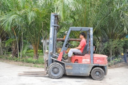 ((ลดกระหน่ำ))ขายFORKLIFT NISSAN FD25ดีเซล ใหม่สุด(2.5ตัน) เสา4เมตร สวยเดิมจากญี่ปุ่น ยังไม่เคยใช้ในไทย 175,000เท่านั้น!!