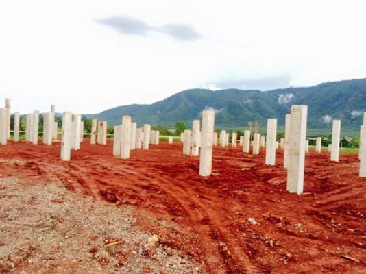 วิชัยปั้นจั่น.นครราชสีมาพร้อมเสาเข็มครบวงจร085-7666984