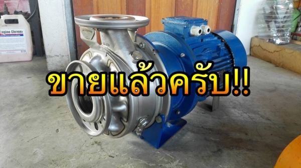 ** SOLD ** ปั้มน้ำหัวสแตนเลสอิตาลี่ LOWARA Made in ITALY 10 HP 380V สภาพสวยพร้อมใช้