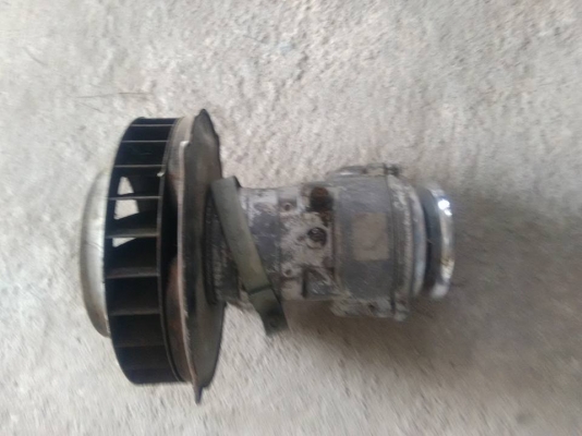 ขาย คาบูโฟรค์ ไดชาตร์ แตงโม 1600 ขาย คาบูโฟรค์ ไดชาตร์ แตงโม 1600