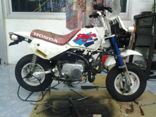monkey baja 1992  58000  (ขายแล้วคับ)