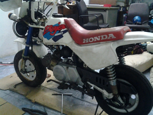monkey baja 1992 58000 (ขายแล้วคับ) monkey baja 1992 58000 (ขายแล้วคับ)