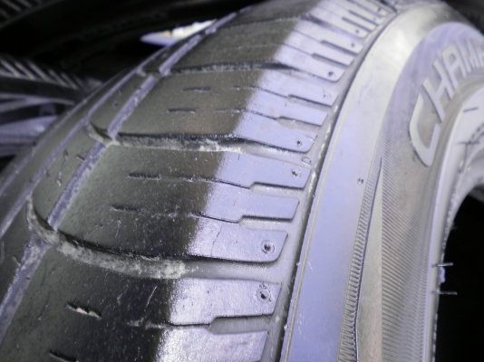 ยางดีดอกเยอะปี10