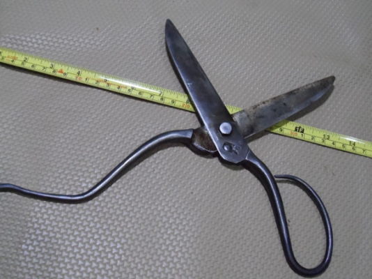 กรรไกรขาเดี่ยวปากหนา ขนาดใหญ่ แข็งๆ