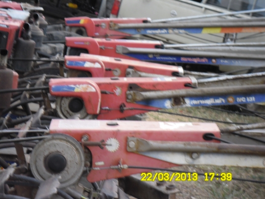 สยามล้วนๆ