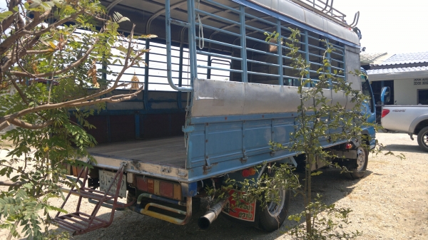 npr หัวกาตูนสวยพ้อมใช้ ลดสุดๆ. ขายได้ขายเลย npr หัวกาตูนสวยพ้อมใช้ ลดสุดๆ. ขายได้ขายเลย