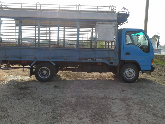 npr หัวกาตูนสวยพ้อมใช้ ลดสุดๆ. ขายได้ขายเลย npr หัวกาตูนสวยพ้อมใช้ ลดสุดๆ. ขายได้ขายเลย