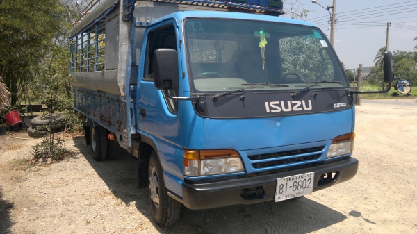 npr หัวกาตูนสวยพ้อมใช้ ลดสุดๆ. ขายได้ขายเลย npr หัวกาตูนสวยพ้อมใช้ ลดสุดๆ. ขายได้ขายเลย