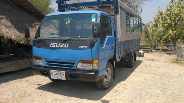 npr หัวกาตูนสวยพ้อมใช้   ลดสุดๆ. ขายได้ขายเลย