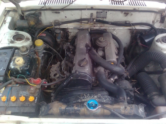 ขายDATSUN  บลูเบิร์ด PJ-810 SSS  สวยๆ พร้อมใช้งานเลย