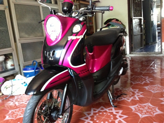 ขาย ฟีโน่ สภาพดี พร้อมใช้ เครื่องเดิมๆ ชุดสีสวย ใช้งานได้ทุกระบบ ขาย ฟีโน่ สภาพดี พร้อมใช้ เครื่องเดิมๆ ชุดสีสวย ใช้งานได้ทุกระบบ