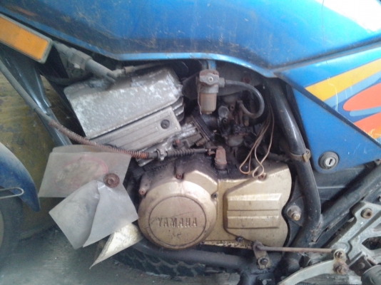 rx z มีเล่มครับ