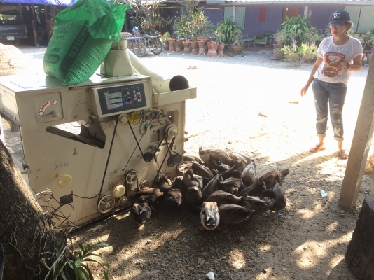 เครื่องสีข้าว โอจิม่า. โทร 0830029487 เครื่องสีข้าว โอจิม่า. โทร 0830029487