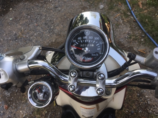 ฟีโน่ ปี54