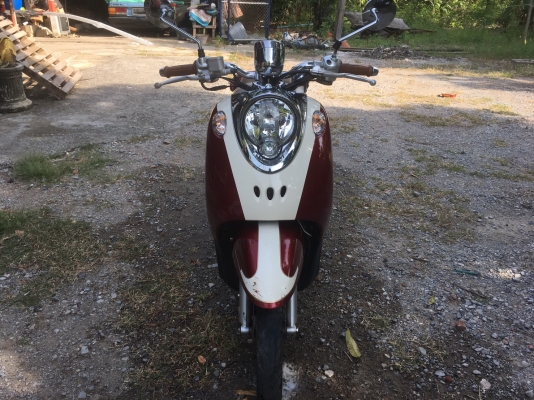 ฟีโน่ ปี54