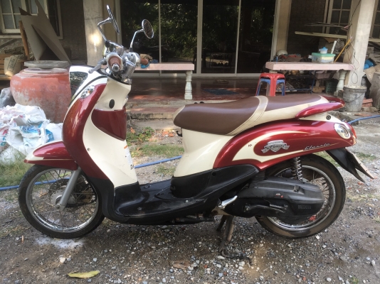 ฟีโน่ ปี54